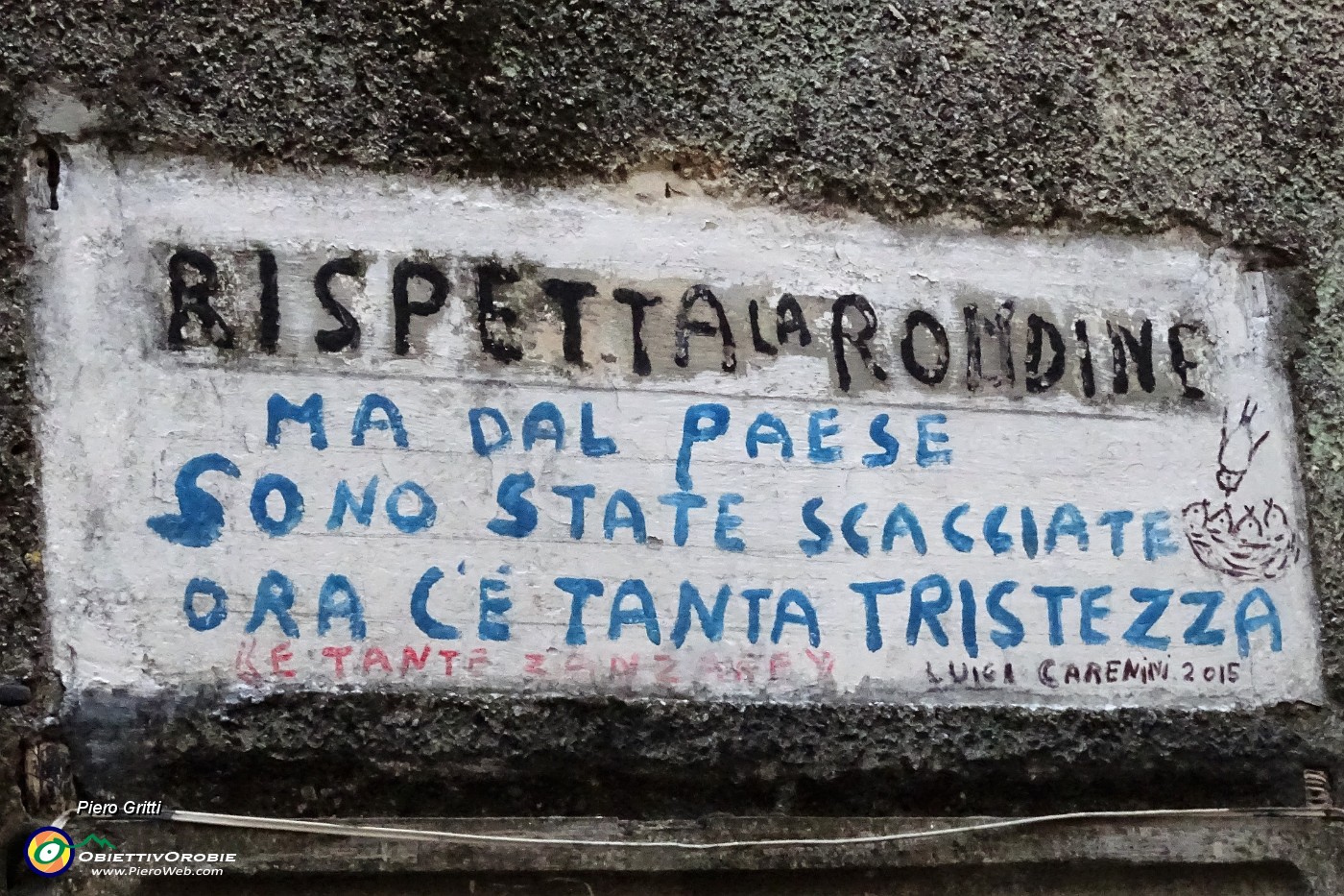 95 Rispetta la rondine....JPG